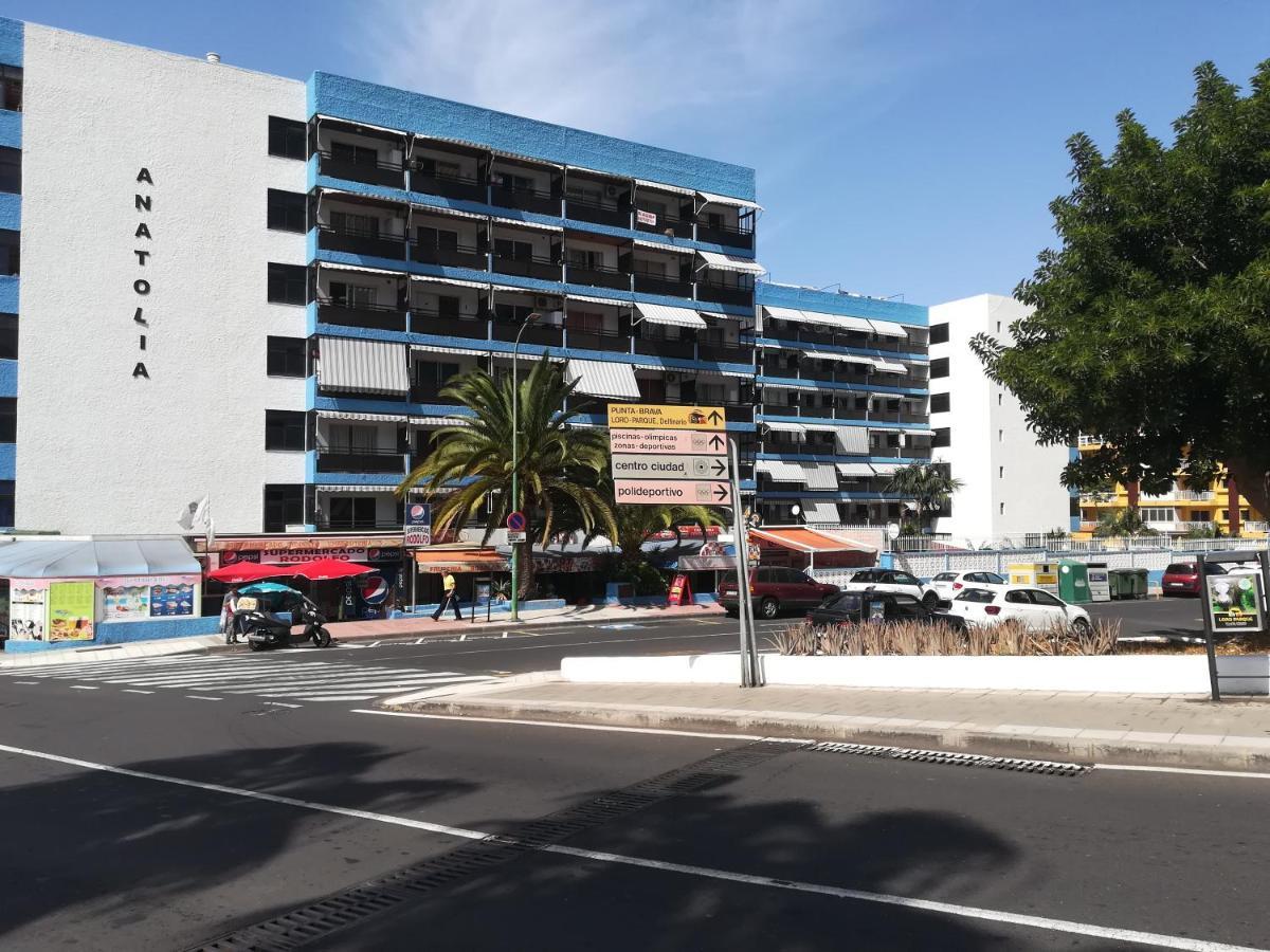 Acogedor Estudio Con Piscina Y Cerca De La Playa Puerto de la Cruz  Ngoại thất bức ảnh