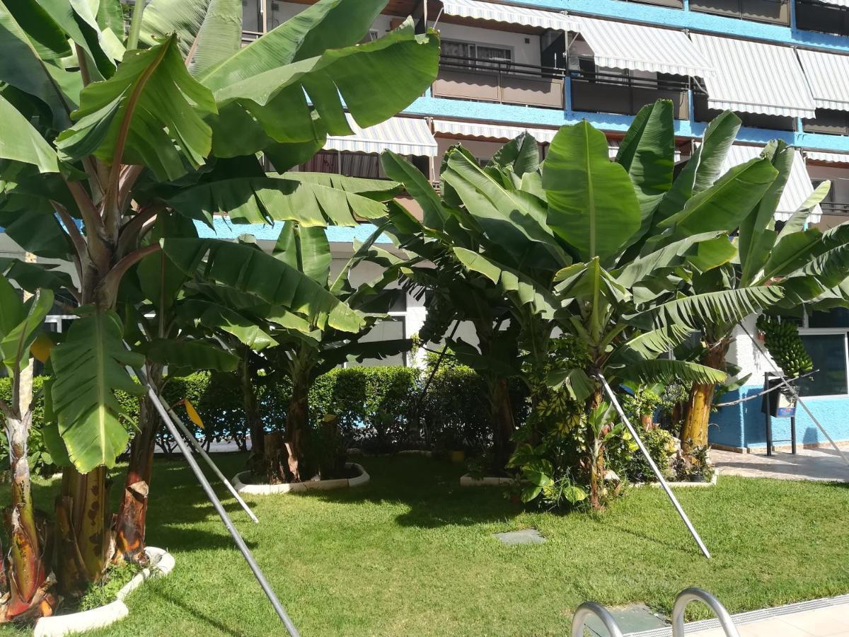 Acogedor Estudio Con Piscina Y Cerca De La Playa Puerto de la Cruz  Ngoại thất bức ảnh