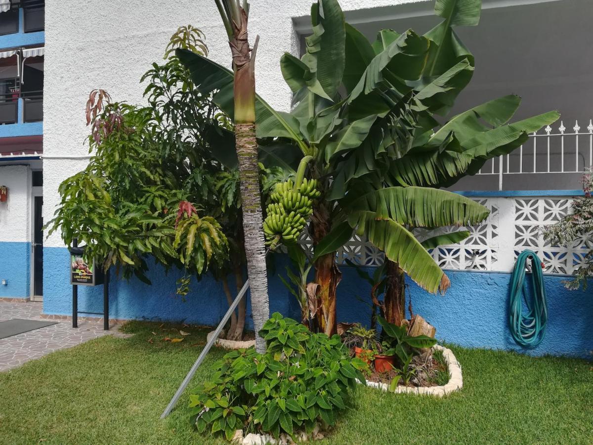 Acogedor Estudio Con Piscina Y Cerca De La Playa Puerto de la Cruz  Ngoại thất bức ảnh